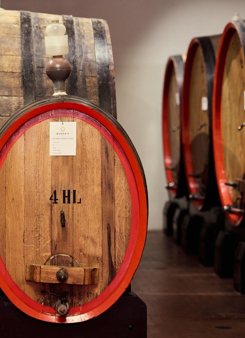 shop Vino Rosso di Montepulciano DOC 2023